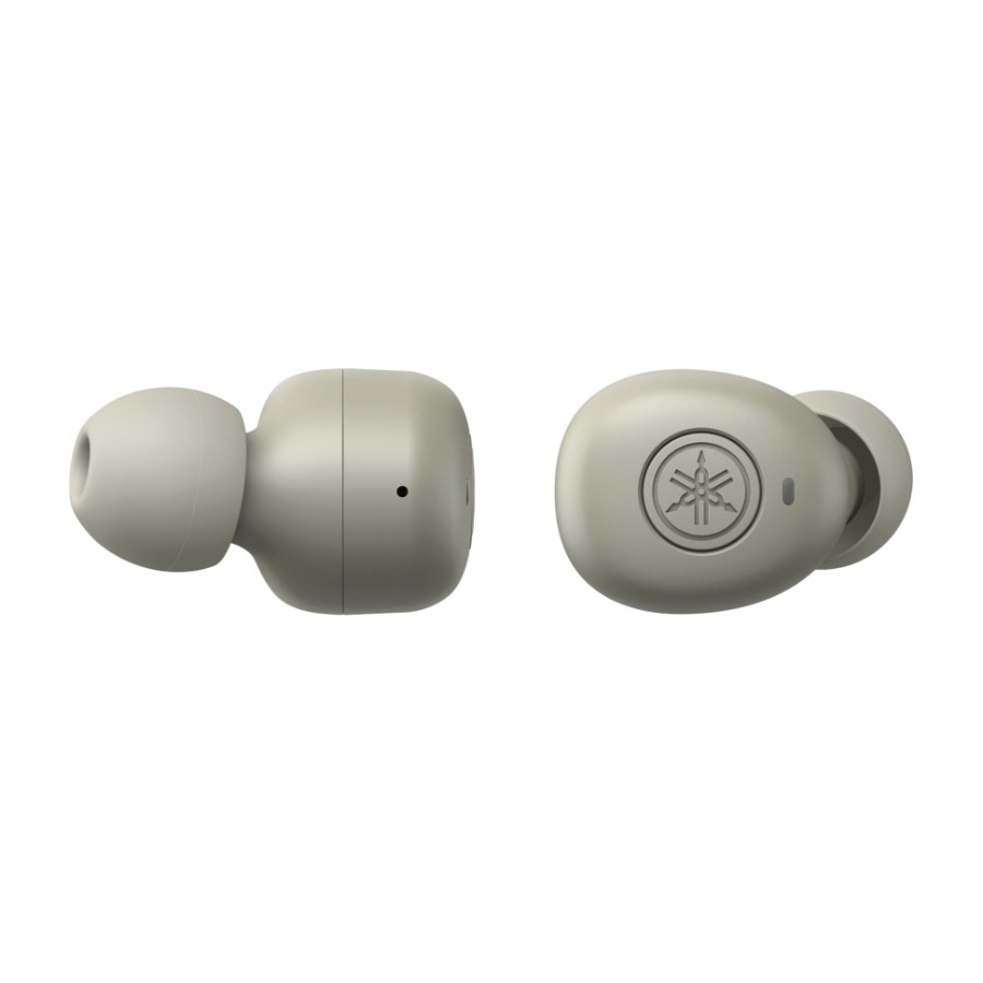 True wireless earbuds