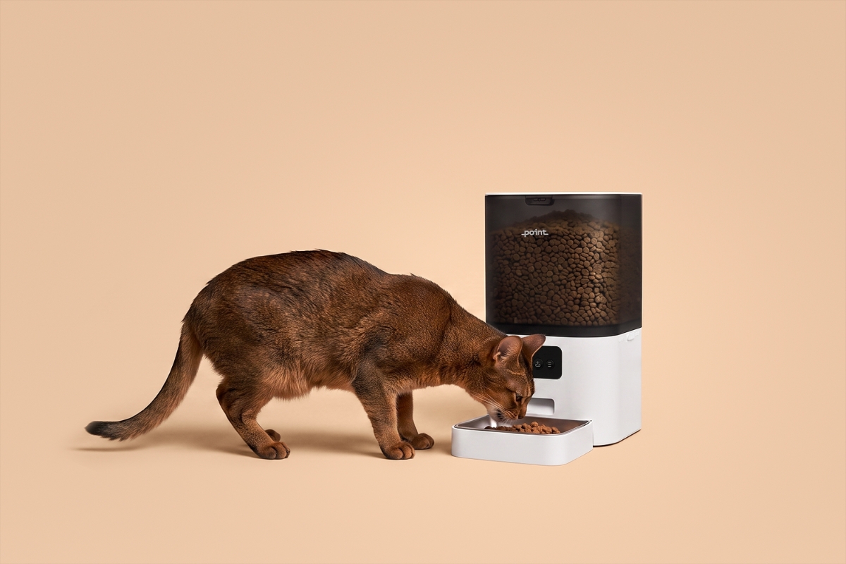 A brown cat eating dry food from the Point Pet Feed smart feeder with a beige background