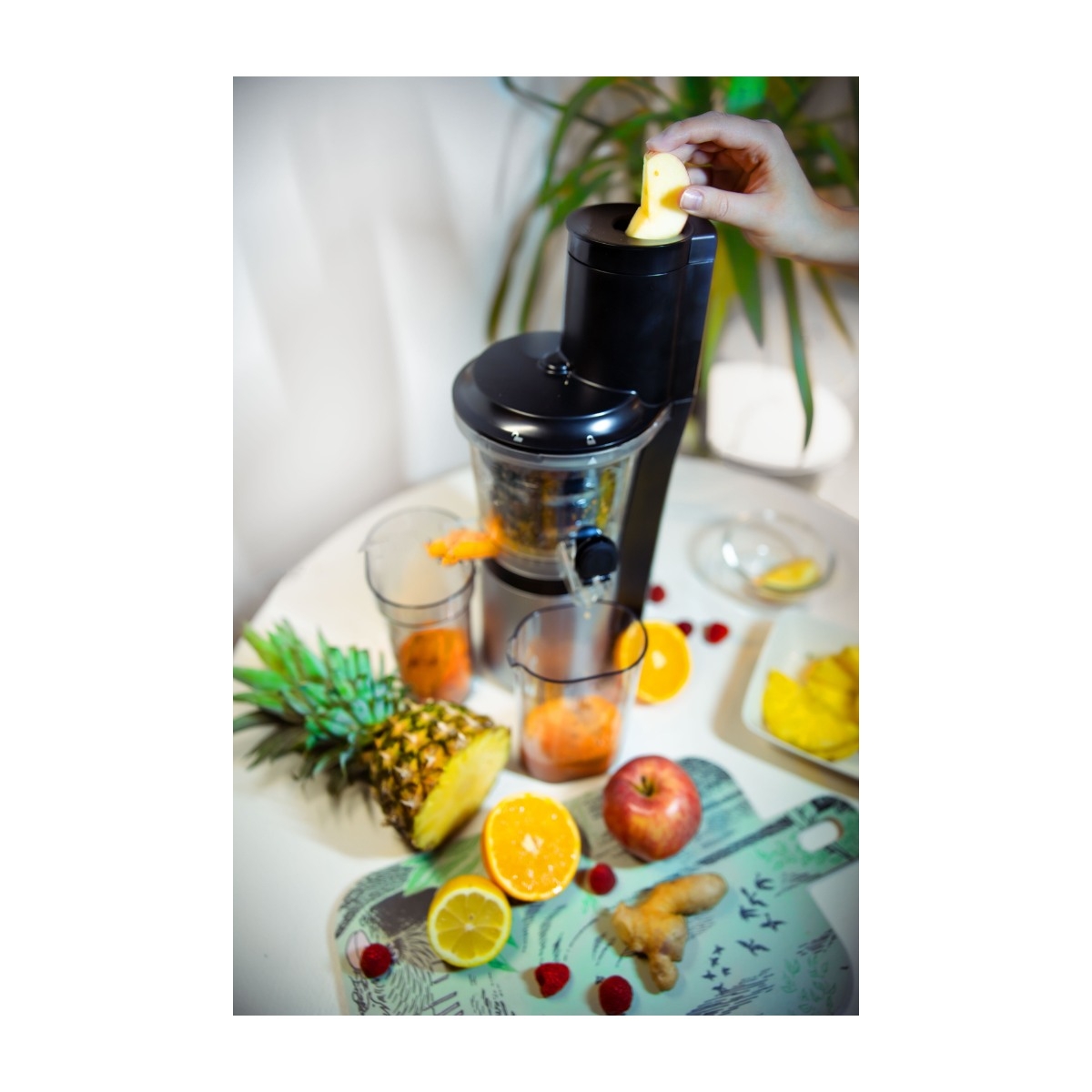 Point Pro POSJ75MM slow juicer billede 4