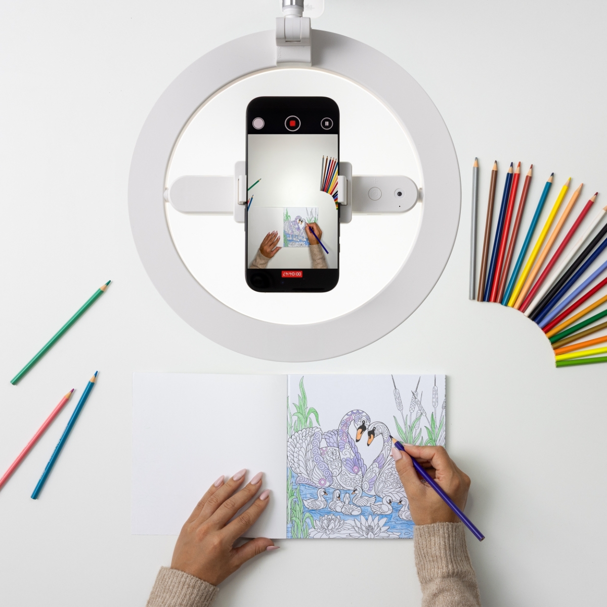 Dacota Platinum ring light