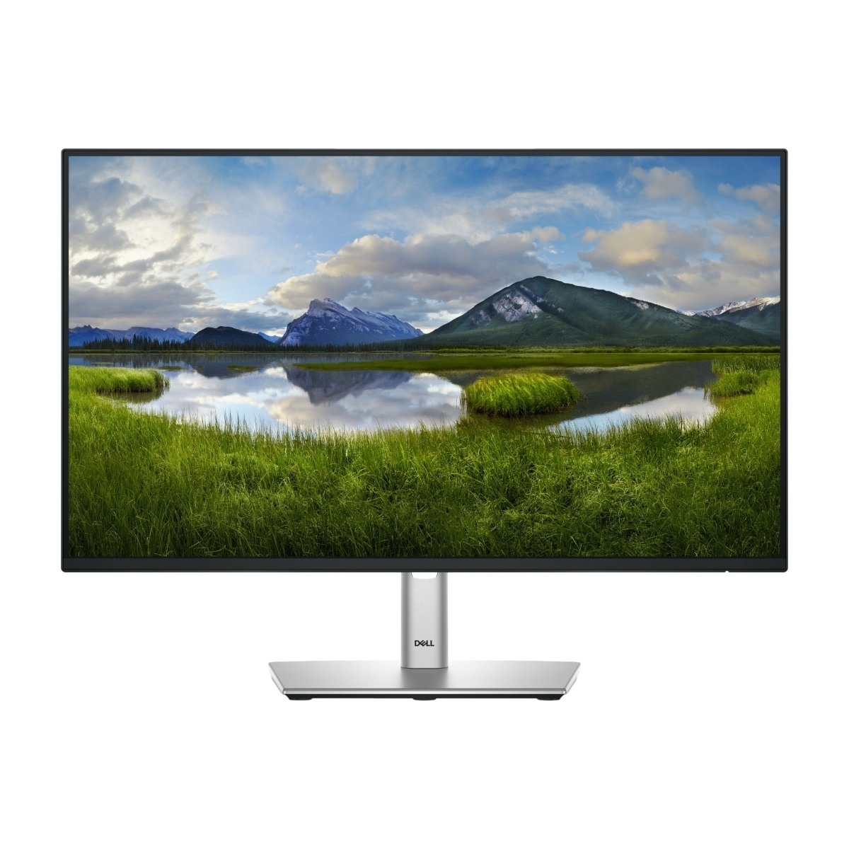 Dell P2425HE 23,8" Full HD-skjerm