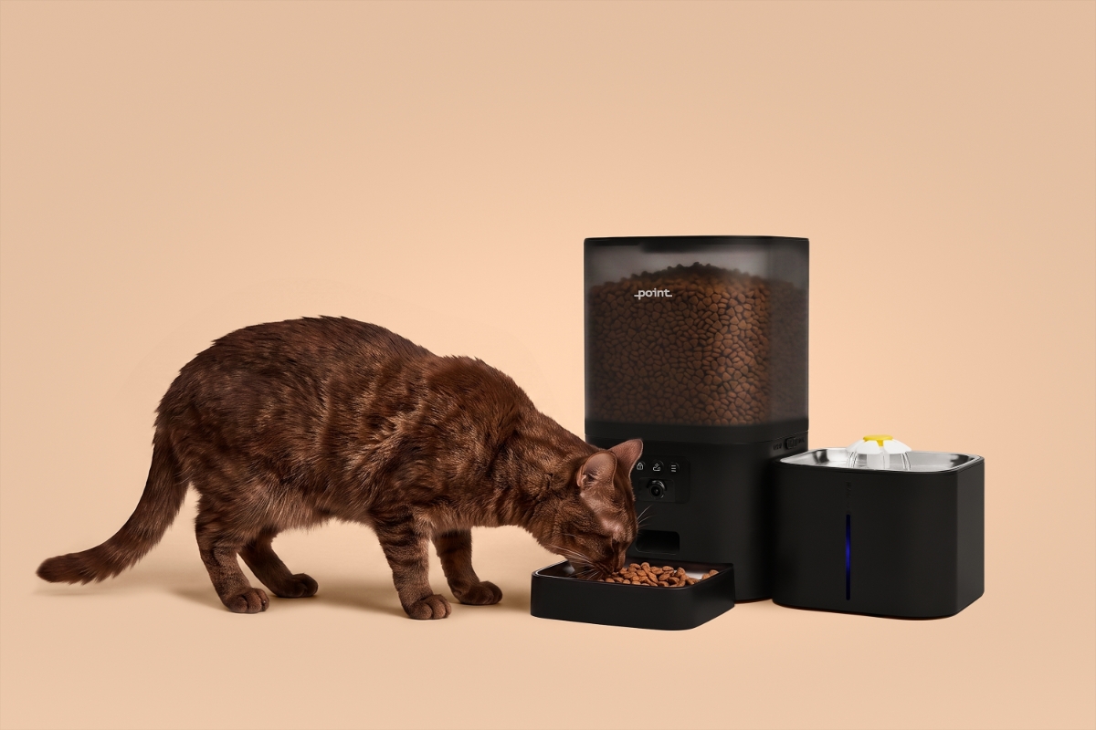 A brown cat eating dry cat food from the black Point Pet Station smart feeder with a beige background