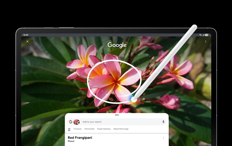 Samsung Galaxy S10 FE.