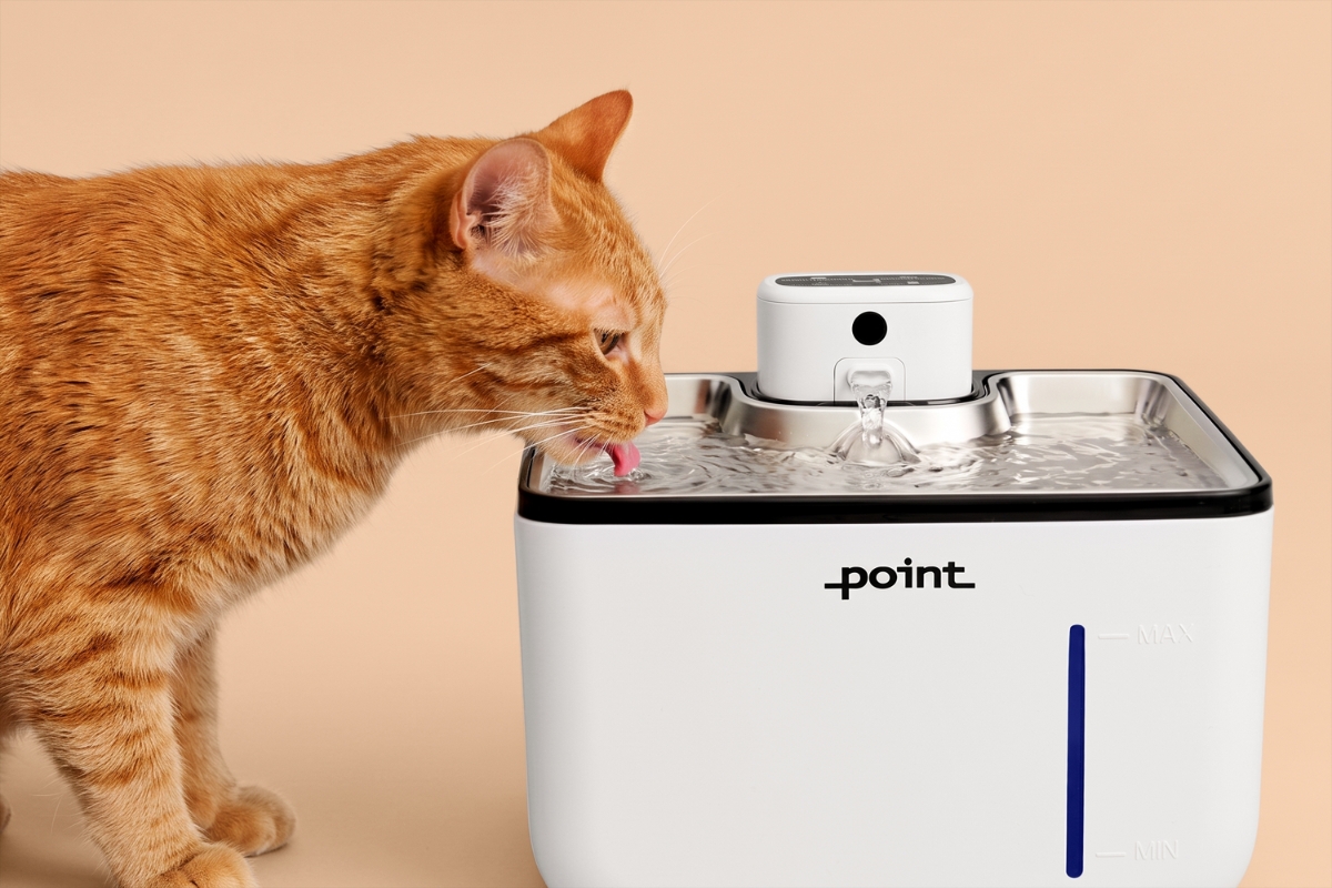 POINT PET HYDRATE WIRELESS FOUNTAIN An orange-white cat drinking fresh-looking water from a white-silver Point Pet Hydrate water fountain and a beige background