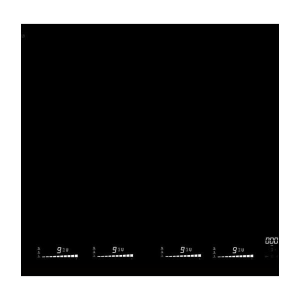 EICO 60 IQWF - LINK-2 INDUKTIONSKOGEPLADE billede 1