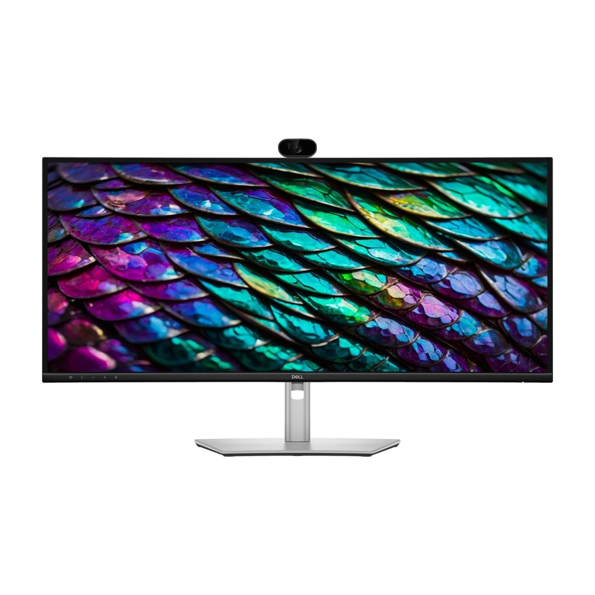 DELL Pro P P3426WEB 34" WQHD-skjerm
