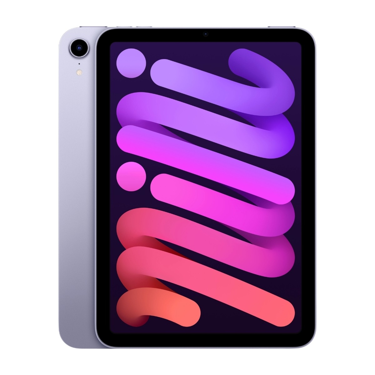 iPad mini Wi-Fi 256GB - Purple
