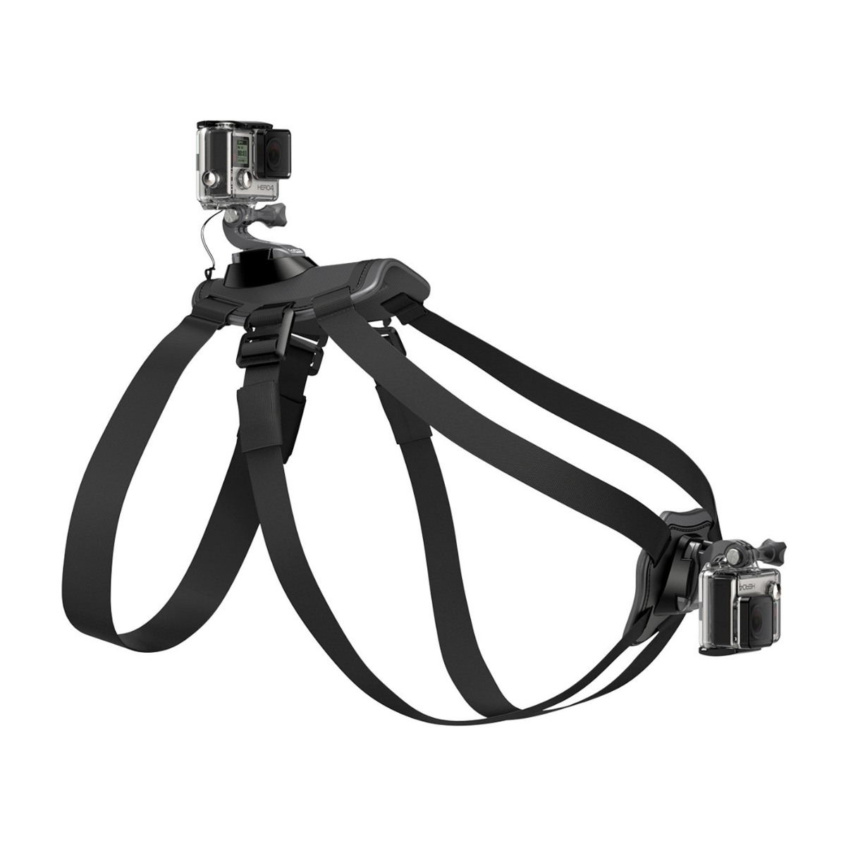 gopro dog harness