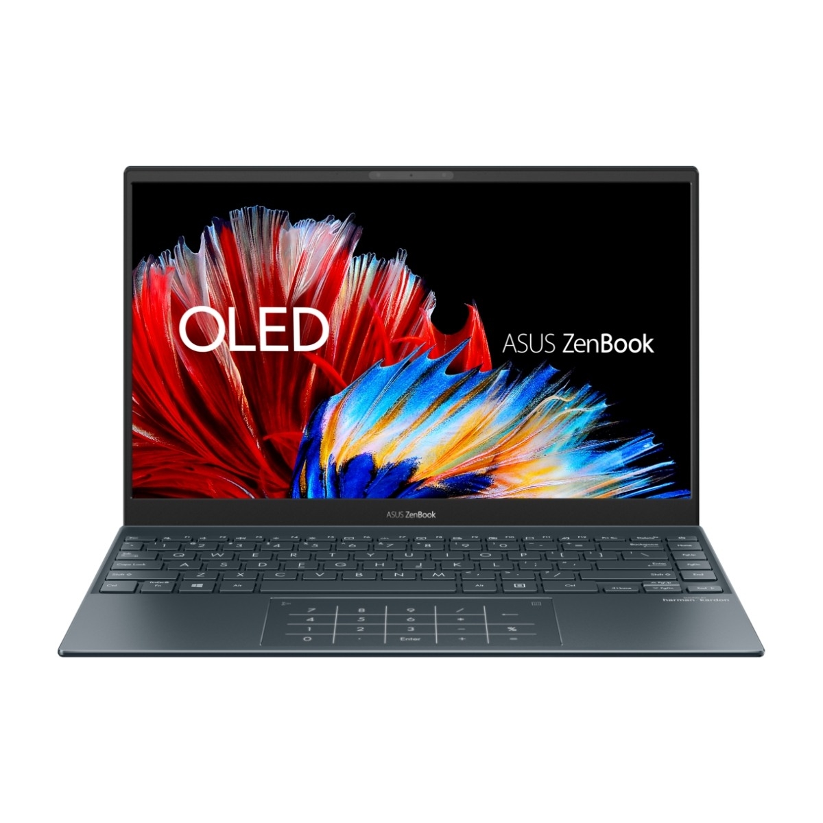 Asus ZenBook 13 OLED UX325EA-PURE18 W11 13,3