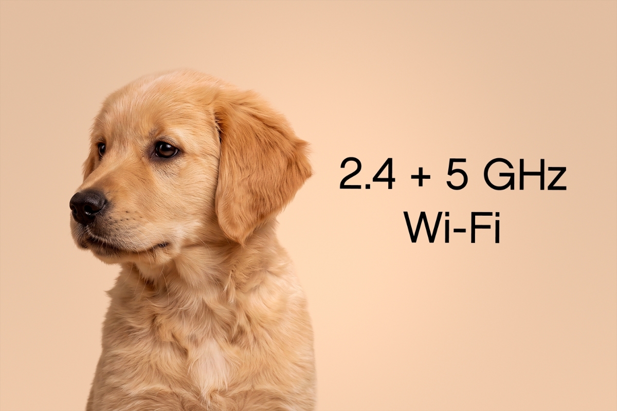 A golden retriever against a beige background with a black text next to the dog "2.4 + 5 GHz Wi-Fi"