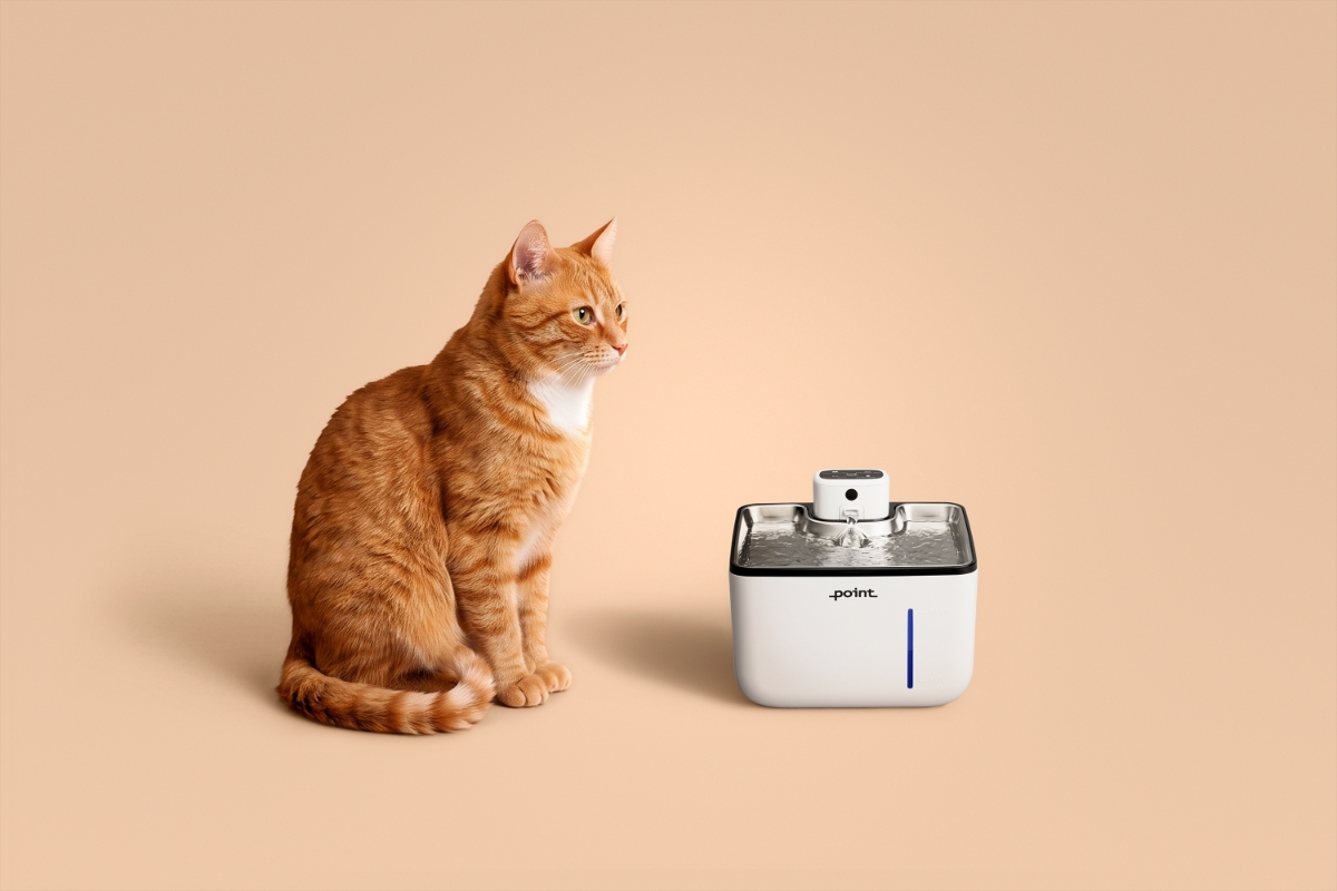 POINT PET HYDRATE WIRELESS FOUNTAIN An orange-white cat sitting neatly against a beige background with a white and silver Point Pet Hydrate drinking pet fountain next to it