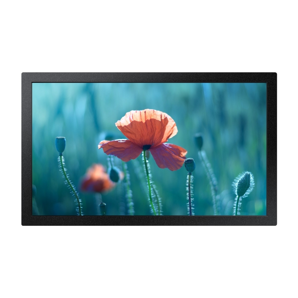 QB13C LH13QBCEBGBXEN 13" Full HD skyltningsdisplay