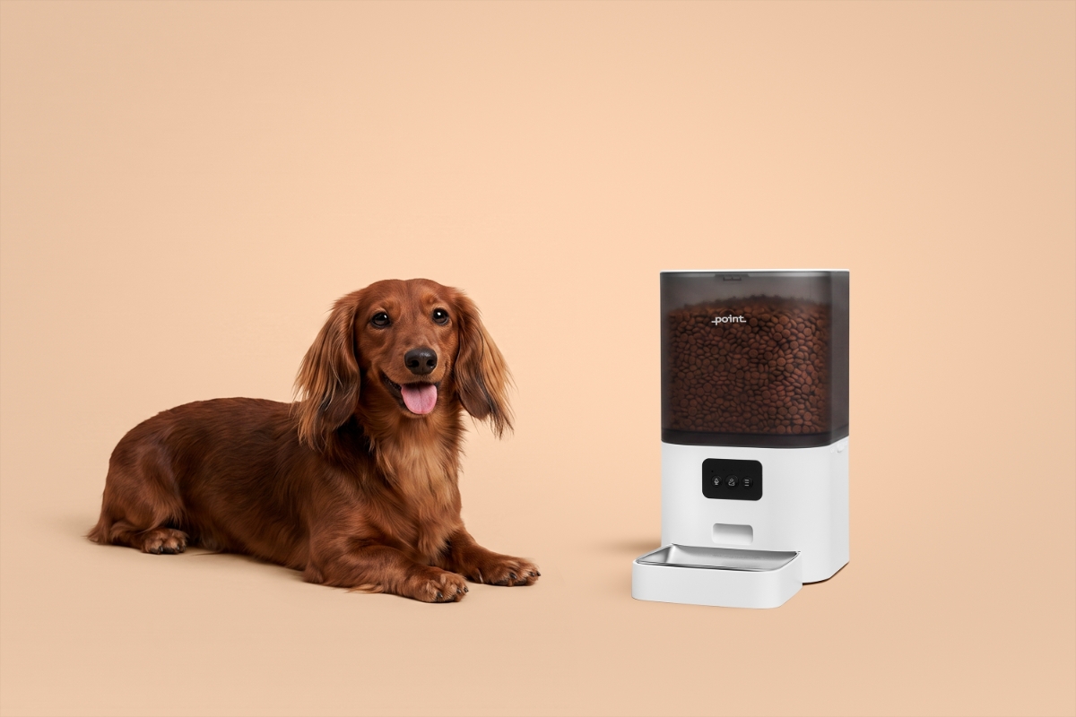 A beige background with a dark brown dog sitting next to the white Point Pet Feed smart feeder
