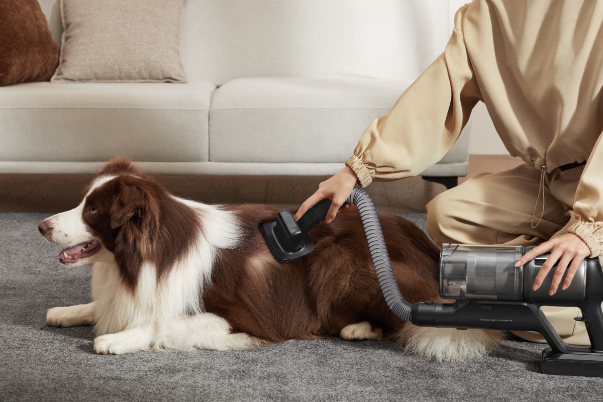 Close up of a person vacuuming their dog with DREAME Z30 STICK VACUUM CLEANER and its special pet tool