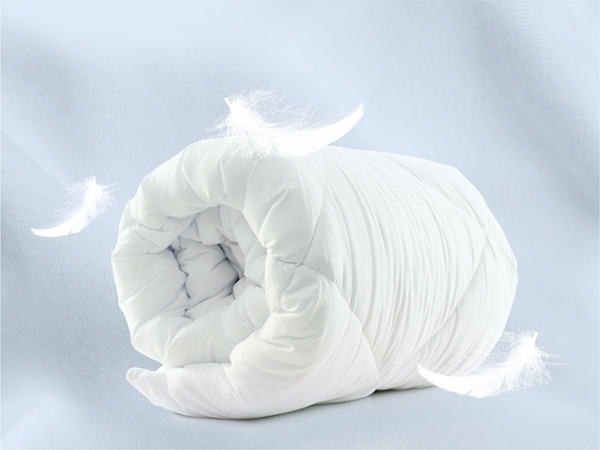 Dyne- og dunt&oslash;ysprogram