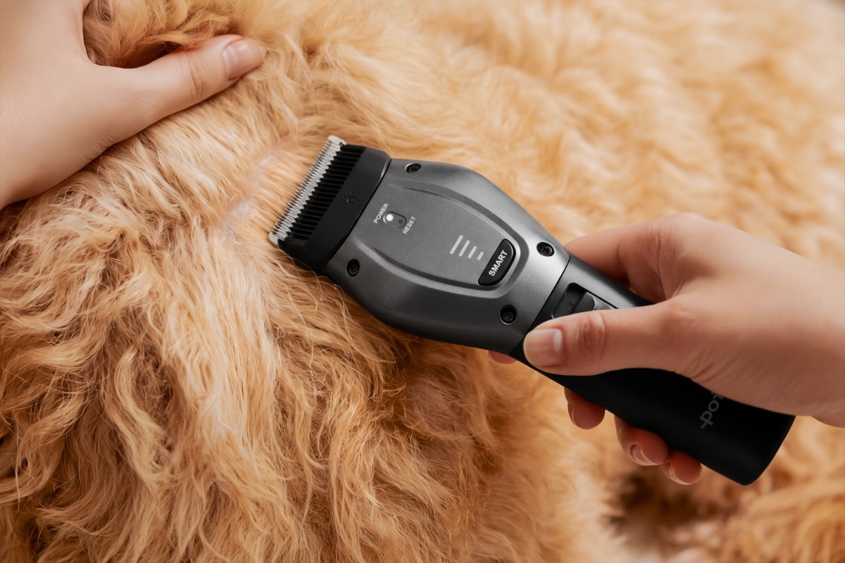 POINT PET GROOM PET TRIMMER An orange dog fur in a close-up with the silver-colored Point Pet Groom trimmer trimming the fur and a hand holding the device