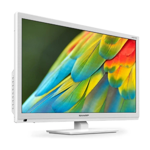 Sharp 24
