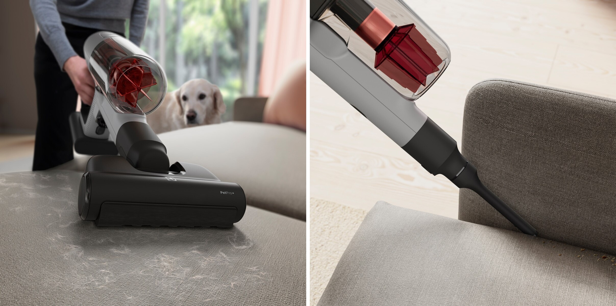 Electrolux EP81AB25UG Animal 800 ledningsfri støvsuger, Urban grey