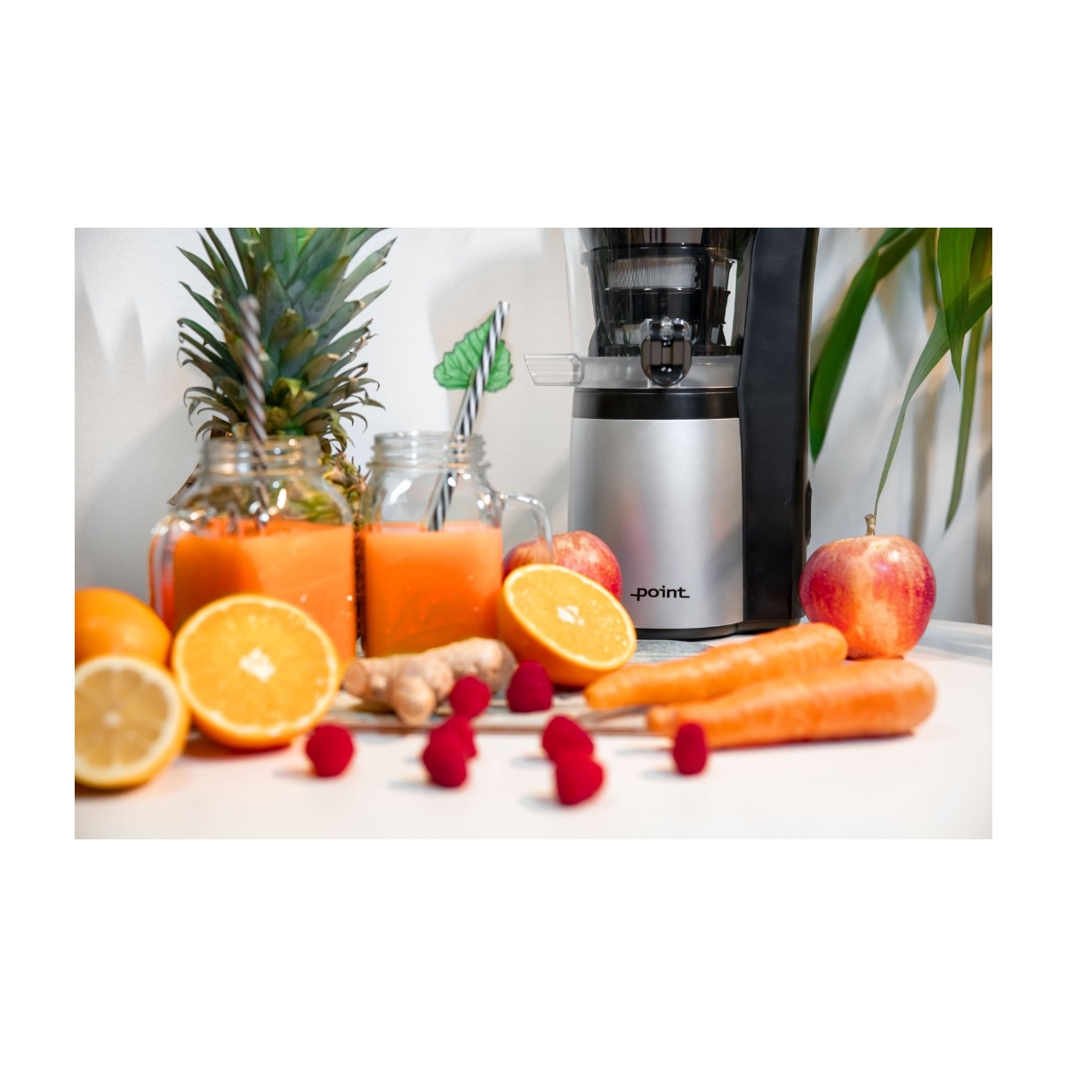 Point Pro POSJ75MM slow juicer billede 3