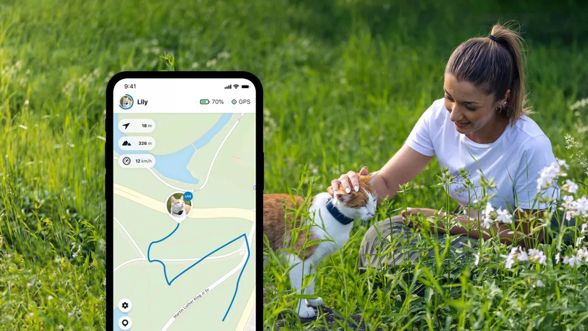 Tractive GPS Cat 4 katte GPSTracker, sort Power.dk