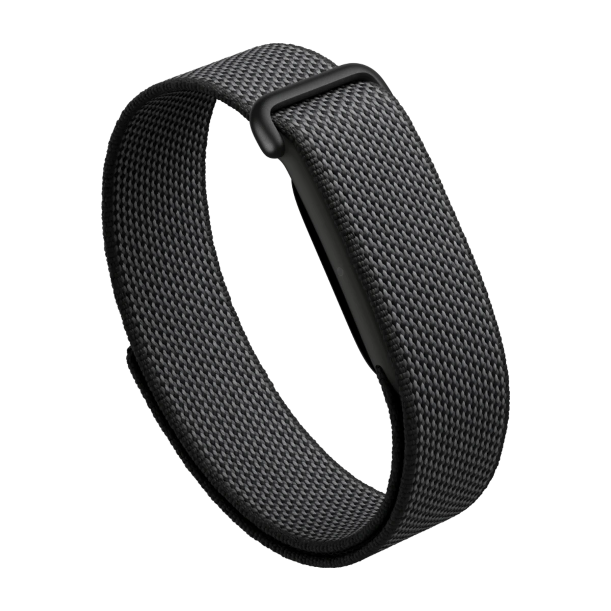 Fitbit Google Fitbit Air
