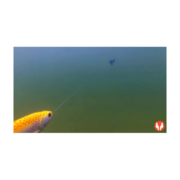 WATER WOLF UNDERWATER HD FISH CAM