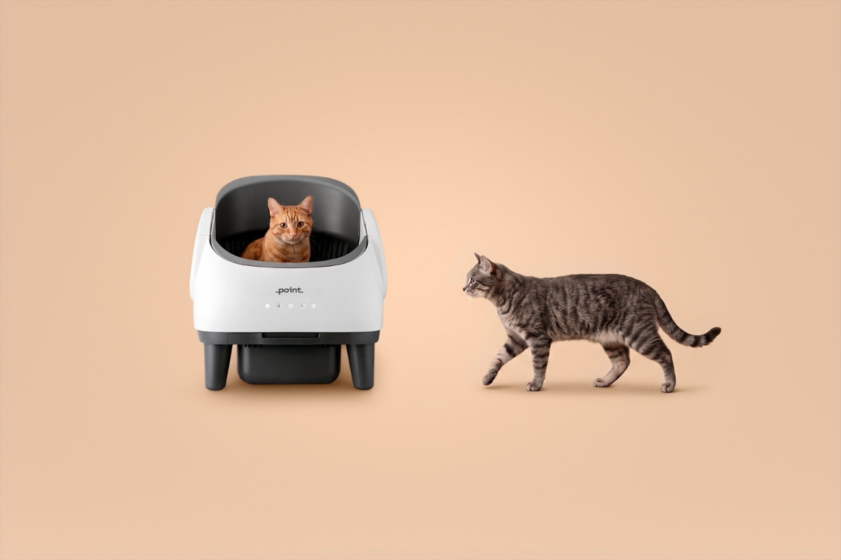 A white and grey Point Cave smart cat litter box with an orange cat sitting inside the box and a brown cat walking towards the litter box on the right and a beige background